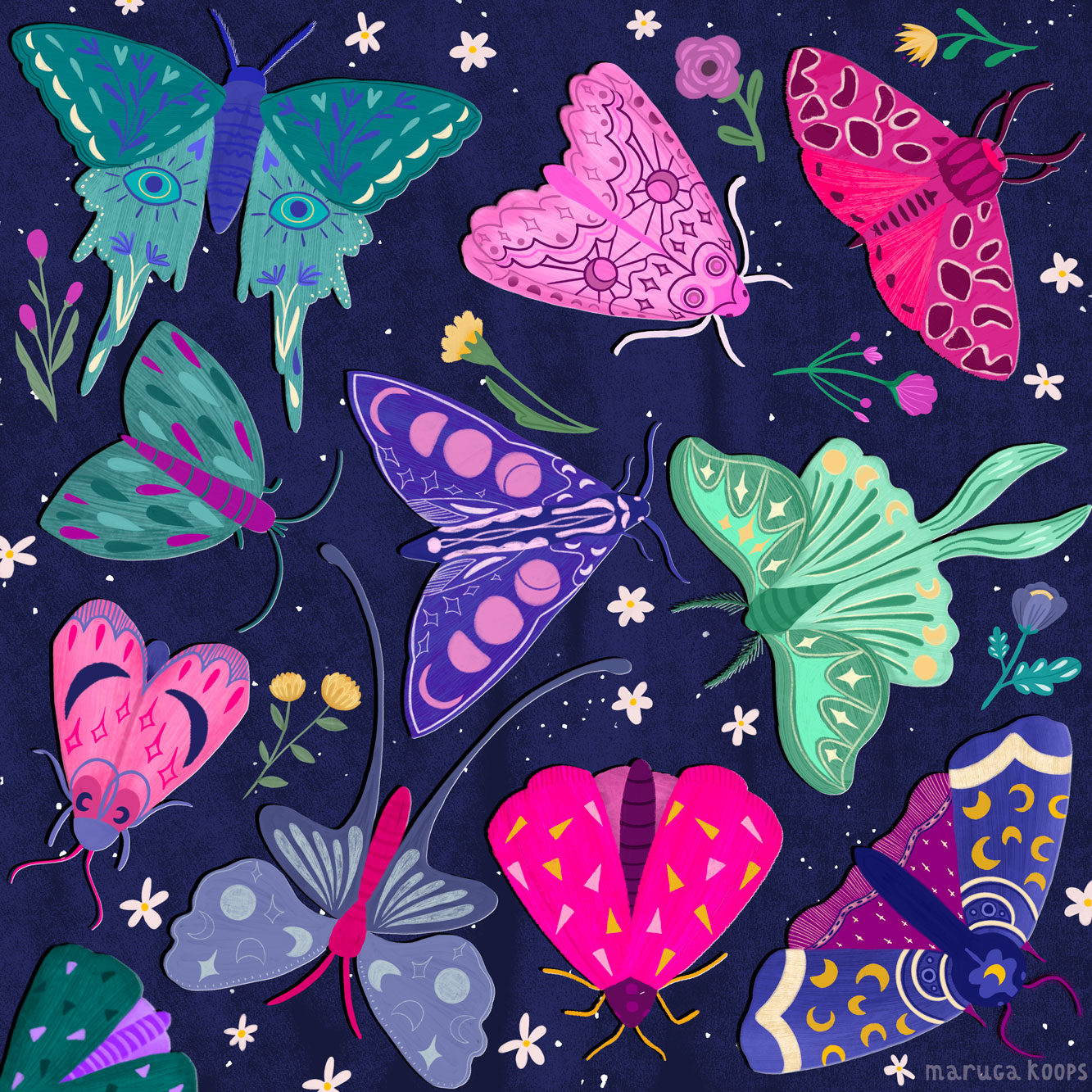 illustration moths and flowers
